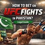 where to bet for ufc fights